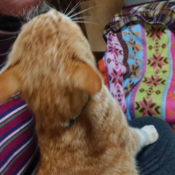 680fa4df 3b77 43fd a69f bc8ed59a9741 1585390140663