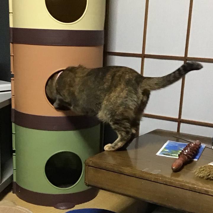 680fbf1d 6bb3 409e 9664 d5376b8b1009 1733731867379