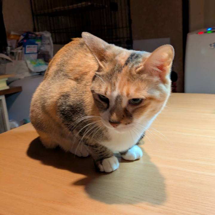 680fc088 c570 43e5 9b8a 789e1bbc0529 1765994593870