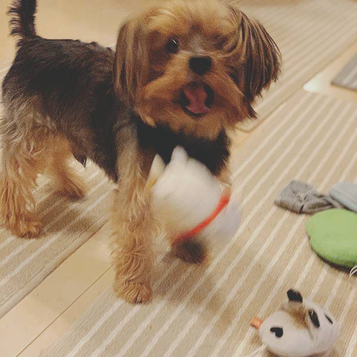 680fd381 1edf 481d baa9 5515ffe0f8a6 1585527377438