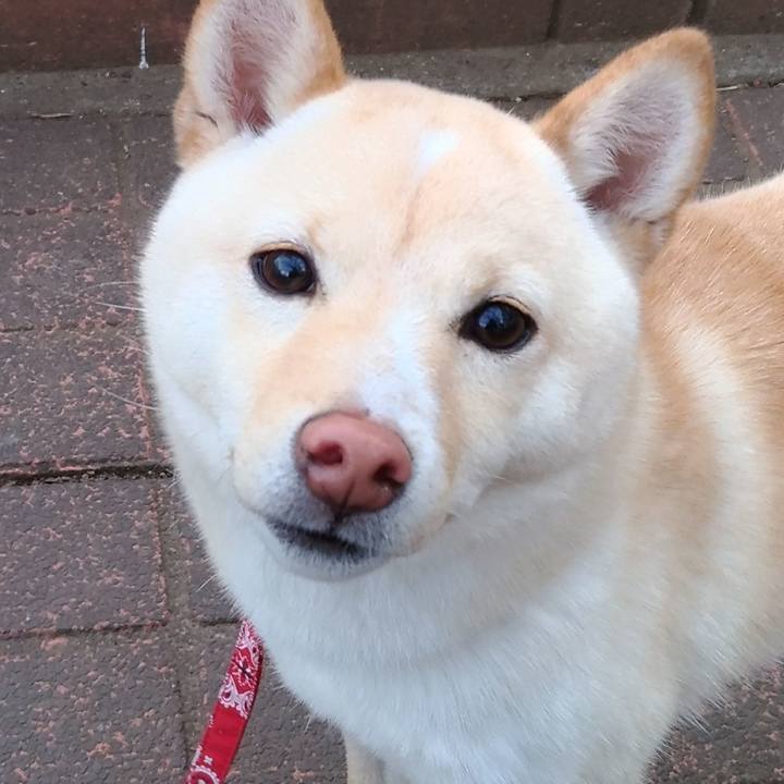 680fec0f 877a 4bc9 98ee eee90cb9d240 1518690359296