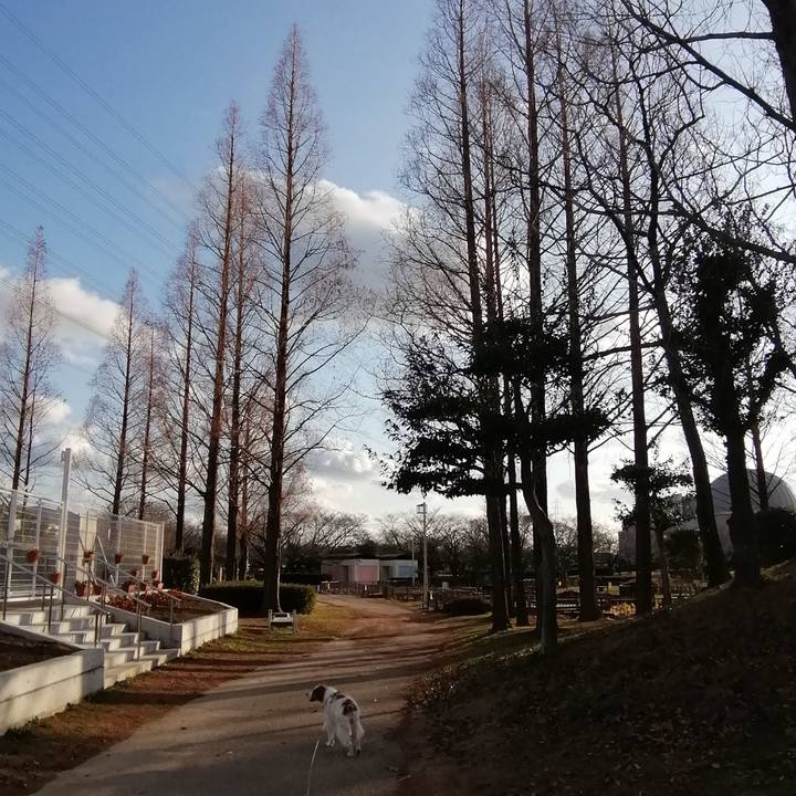 680ff9b2 93ba 45be 9541 550594946ebc 1578569489476