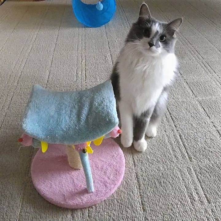 68101983 65fd 453a abc6 07e2bbc45808 1578805326640