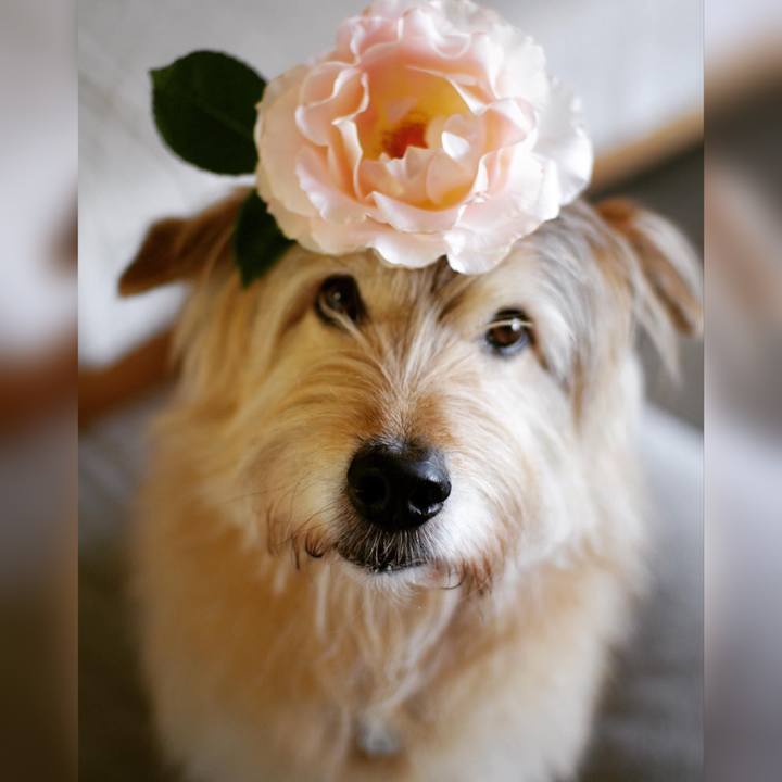 68101c54 53b8 464c 813b dc0eb8066e85 1619256003893