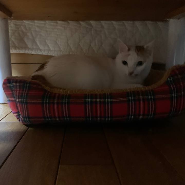 68105027 f7ff 4a32 a0d2 3dd51fd2e906 1667999951179