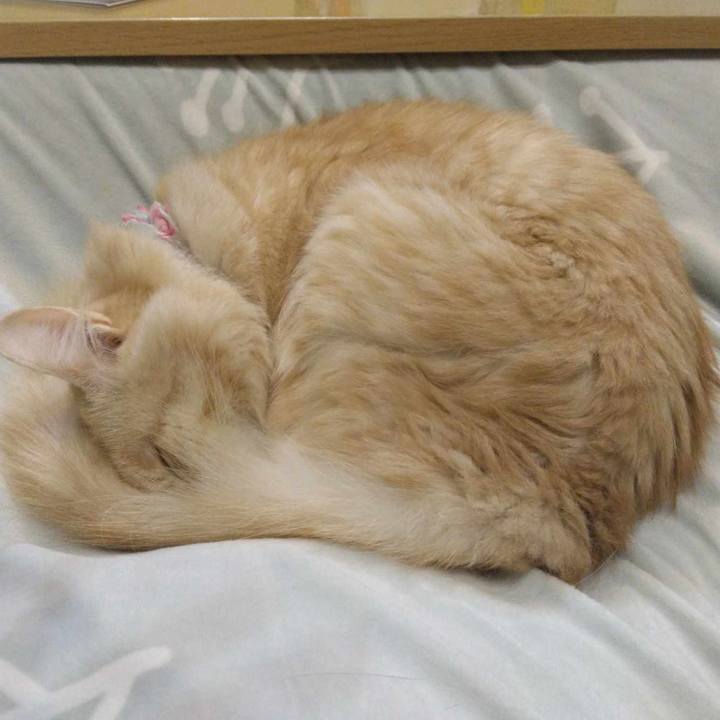 68105158 61d6 4f25 a6d5 725ff792afe9 1699878782596