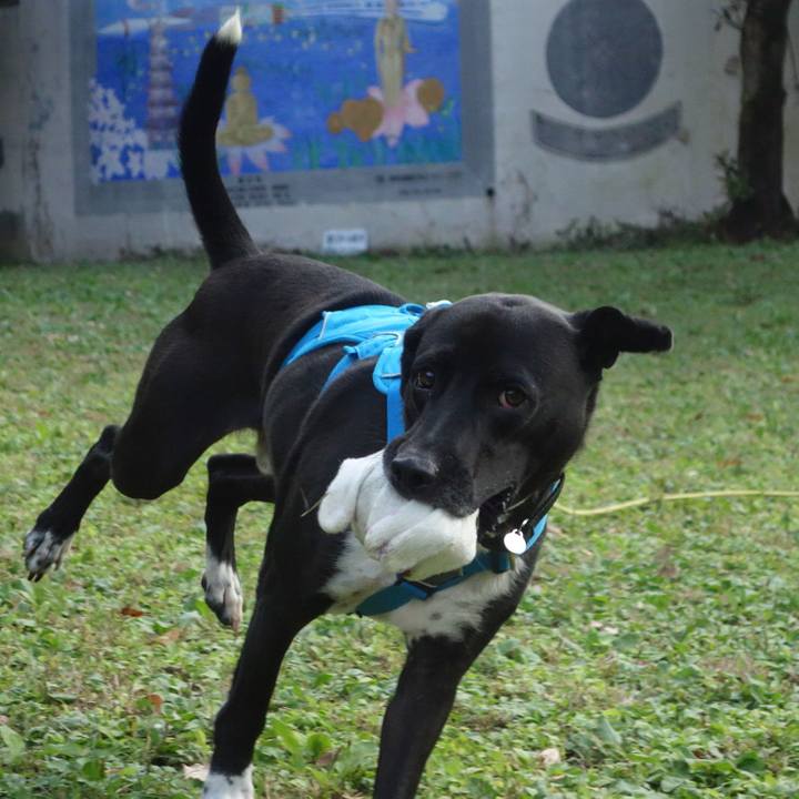 681060ef 2b3d 467c 9e1c e43b22060735 1605225790615