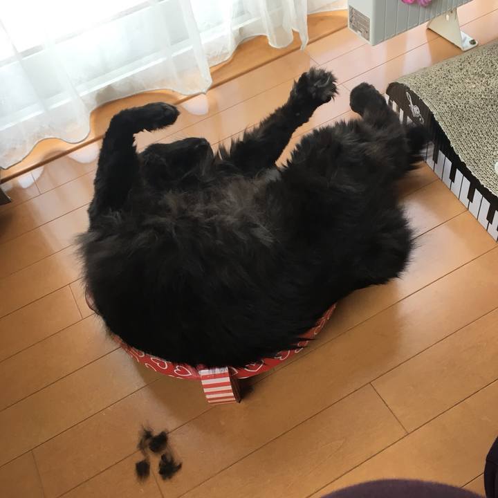 68106a48 0c8e 4796 99e8 876a5228af56 1557212782007