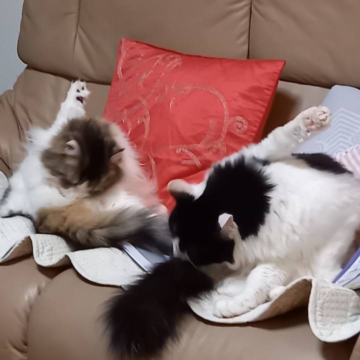 68108b1e f5be 44c4 a34f 17a7310056da 1641121414110