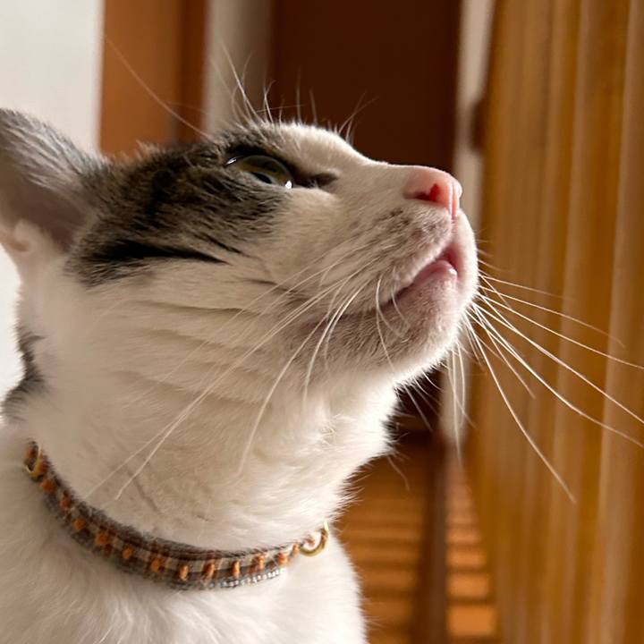 6810a3c1 da8a 440a 88de 4b1ae51fb68e 1733013720529