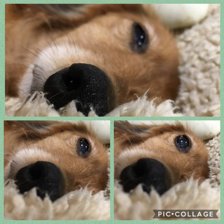 6810c24f 8abd 4054 a7be c4953dab1c77 1589636085143