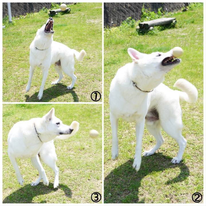 6810e945 db54 46cf 9a5c 5f12b8bacda9 1526091668793