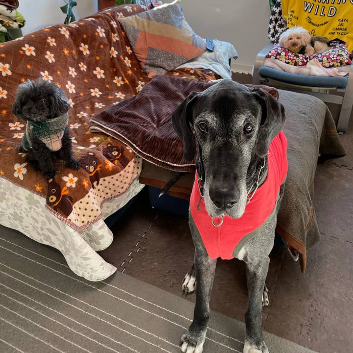 68110224 d19d 4dac b914 a6ee30ad1342 1613687588089