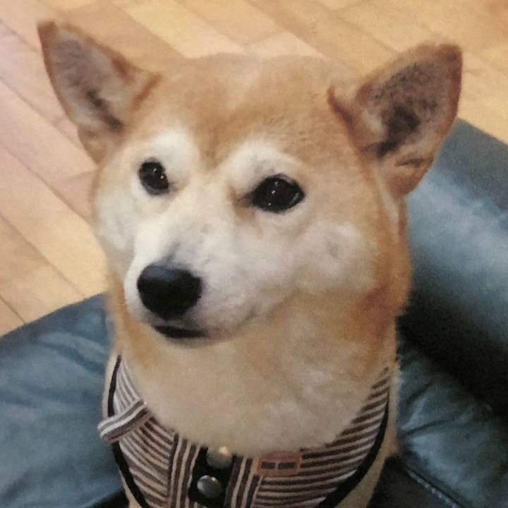 68111e13 7177 4659 9371 aa2374c91dbb 1602298469745