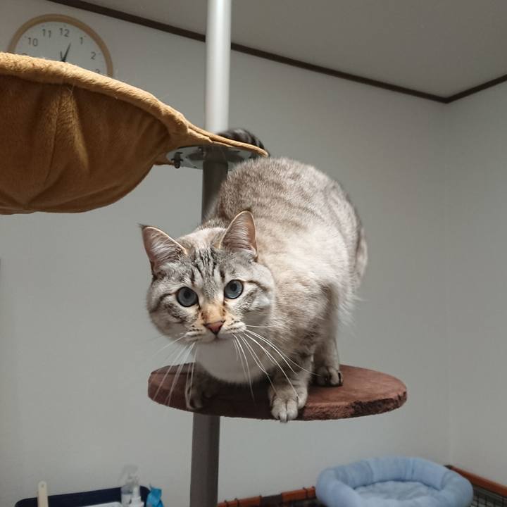 68113a7c 8b1e 4c1c 9d46 be4edb602cd5 1554047556071