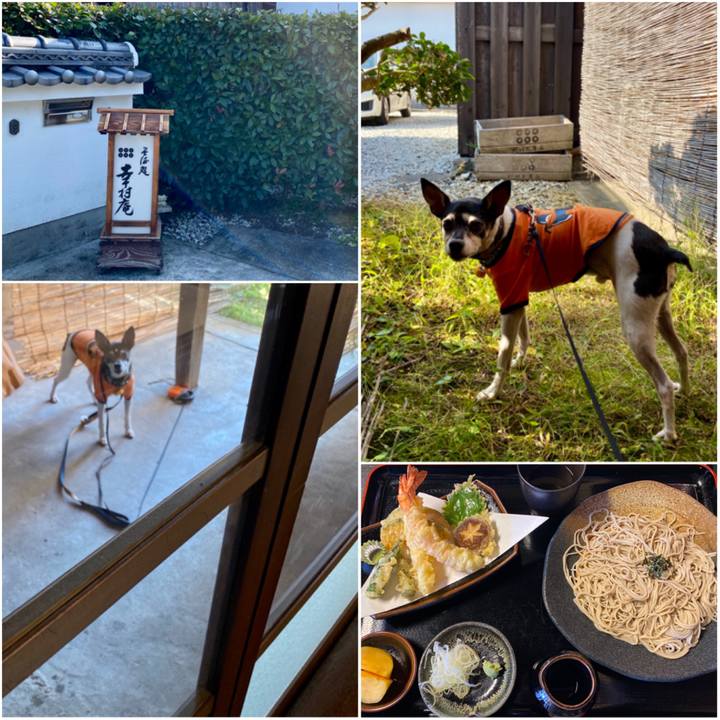 68114c4a 7898 4e8d 940d 7c211329dc06 1604146393704