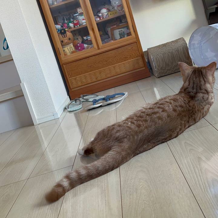 6811664f 897c 40e9 a035 137caad19a6f 1694300022993