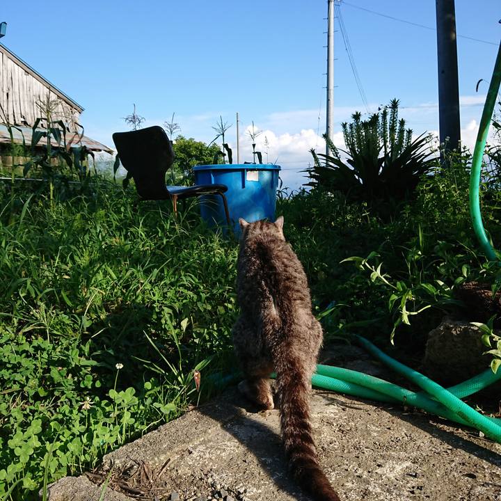 68118b54 2a8f 4d75 b13b 19a6e0377793 1597304854363