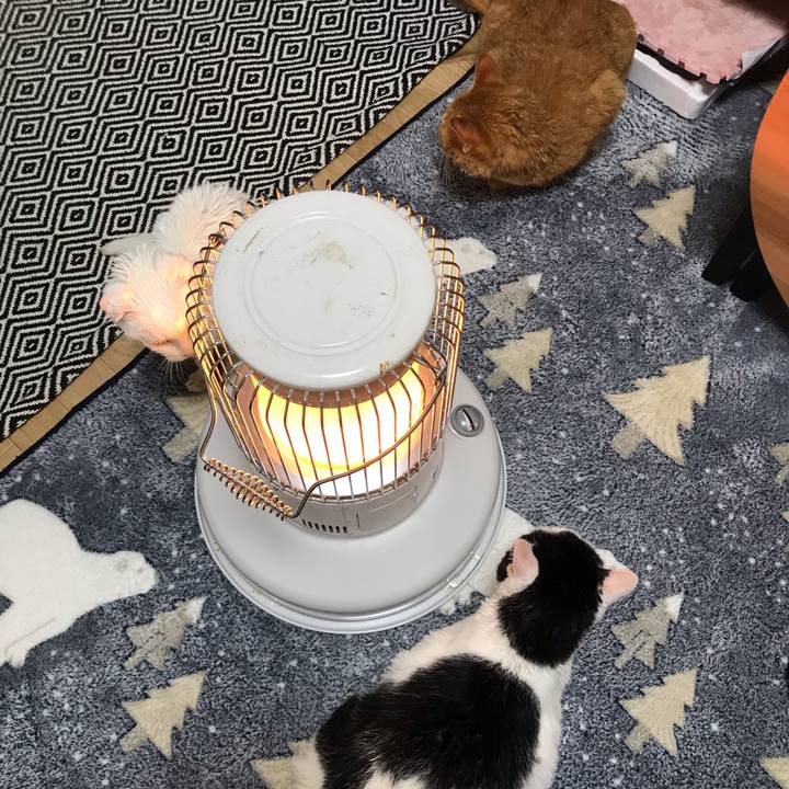 6811aabb 757b 4754 be49 68088285fb82 1576939137852