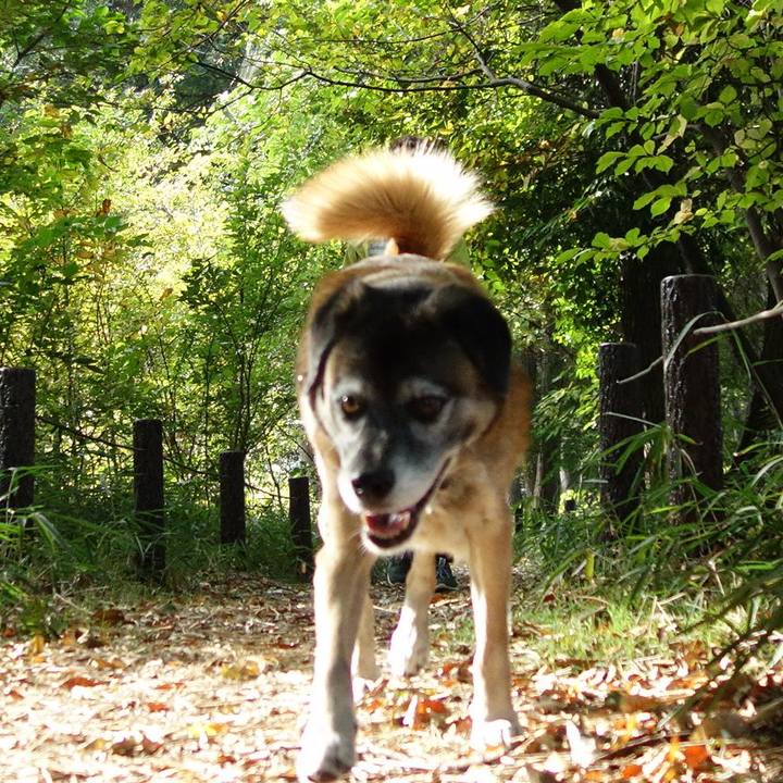 6811cc44 7251 4e3a a312 767429ccf411 1620091504169