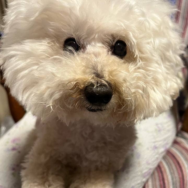 6811e6e4 e044 4c34 977b e876ea13bc71 1774301023136