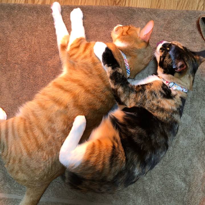 681207e1 ad30 4bd0 b219 4f087a5d4ba6 1573125438536