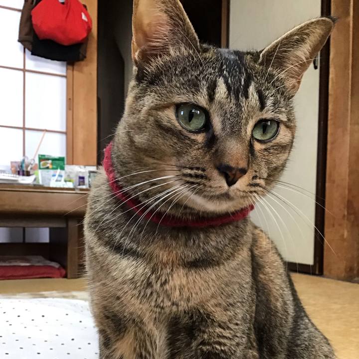 68120a70 1626 450f a3be 001f087d6867 1606085935694