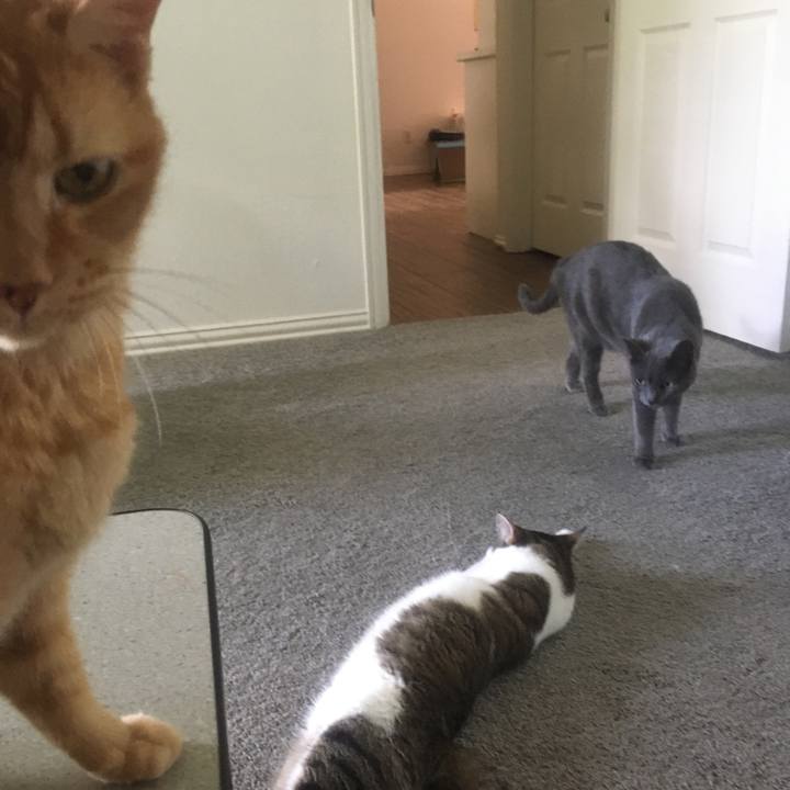 681227e8 4879 4226 aed0 774cedb9c957 1662396132999