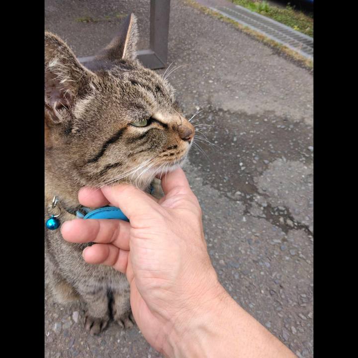 681233a4 7604 412f ad1f bd9f982d2cd7 1700020915586