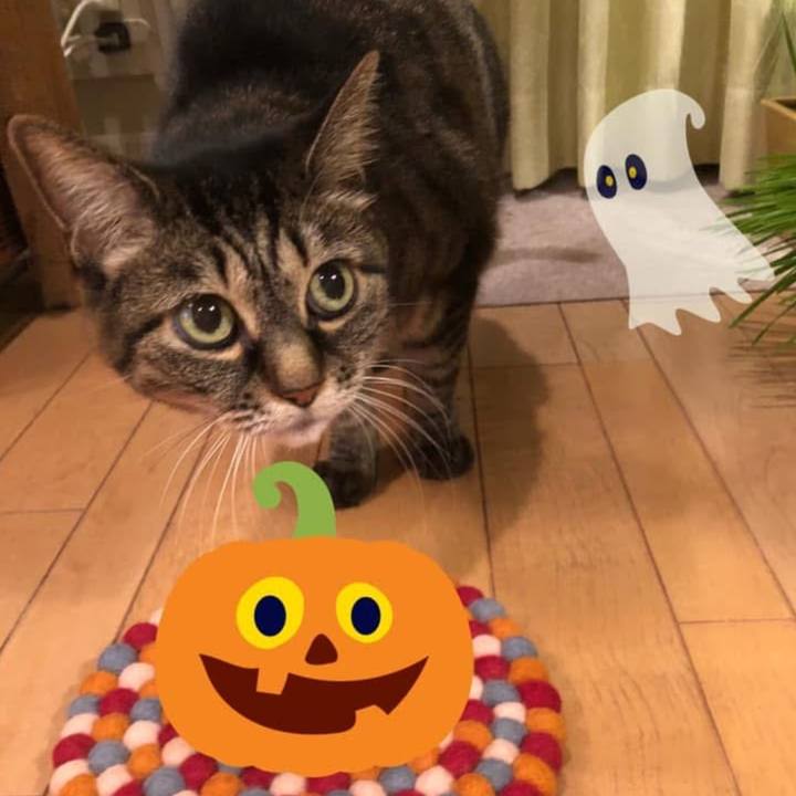 68123e94 2ba2 4ab3 bff9 d9d17d31336d 1761350871792