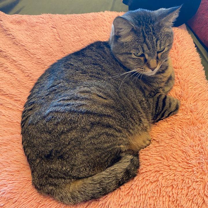 68127b5a 235f 4c03 b084 8af9d92c6dd1 1578909901651