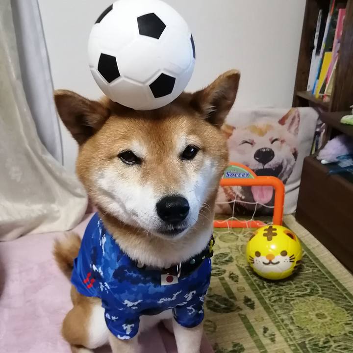 6812ac35 eb85 4d8c add6 453aa4c99774 1679655595378