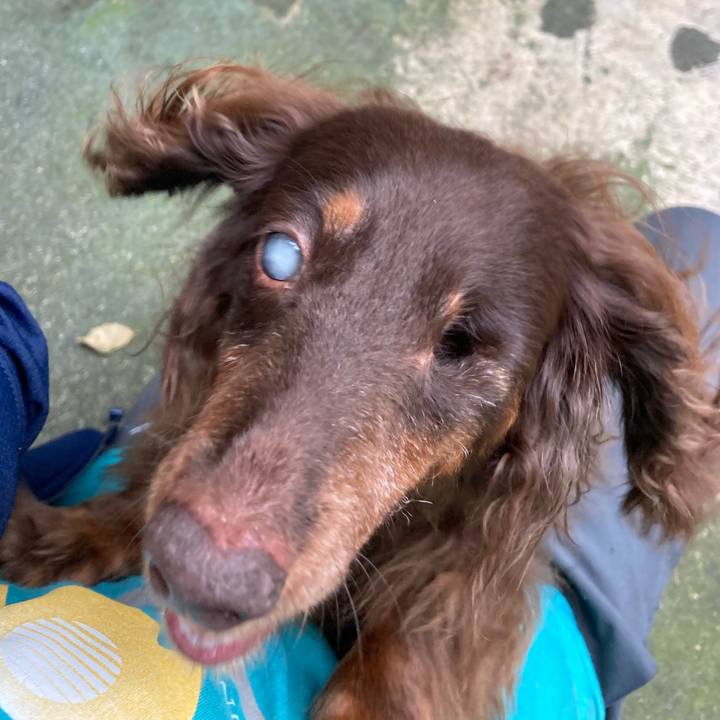 6812cde2 ddcf 4cba a772 62a4945a4305 1595325561297