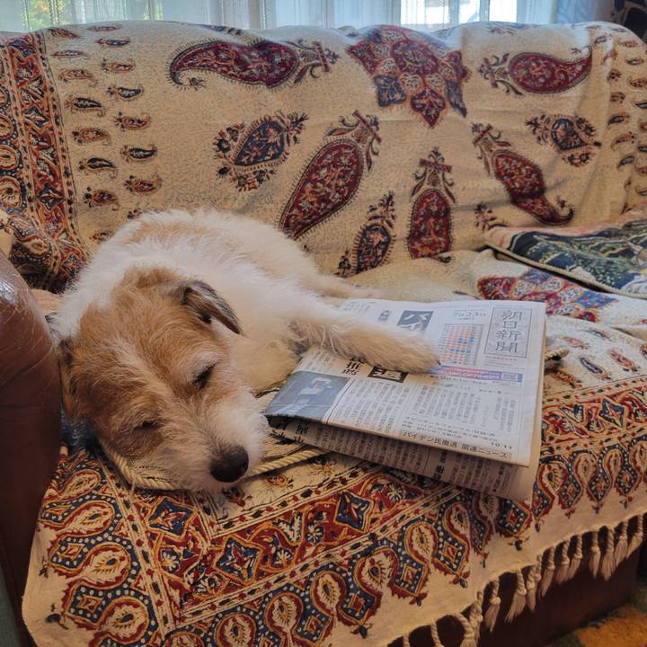 6812ed5d 25aa 4f28 9696 ed25af6146f9 1721690973524