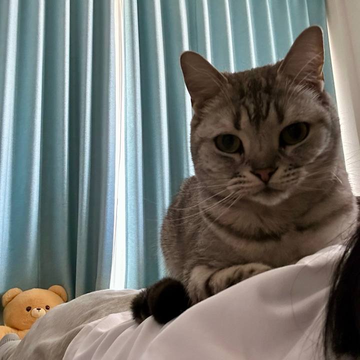 6812f4bc 48c5 4ebf b4bd 106815763bab 1742527021745