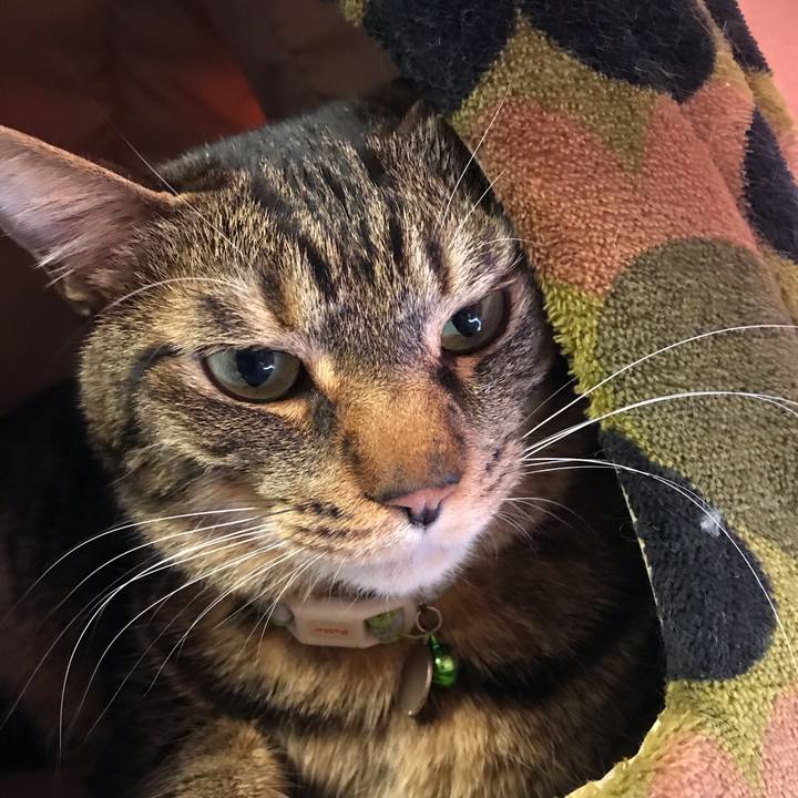 6812fcd2 e557 4698 817a b7c84e613403 1588871349485