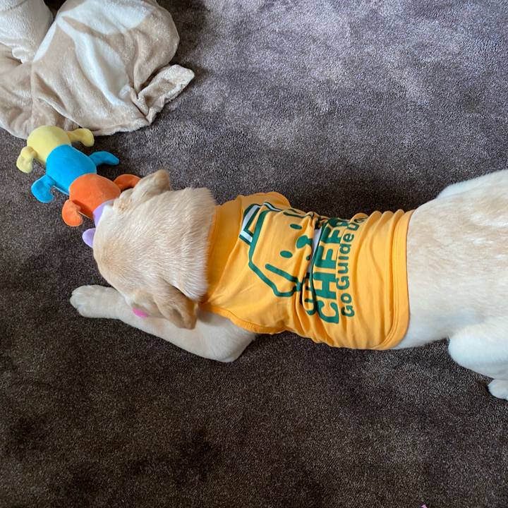 68130415 c0c4 454f 8e25 47e2848930c2 1616415010439