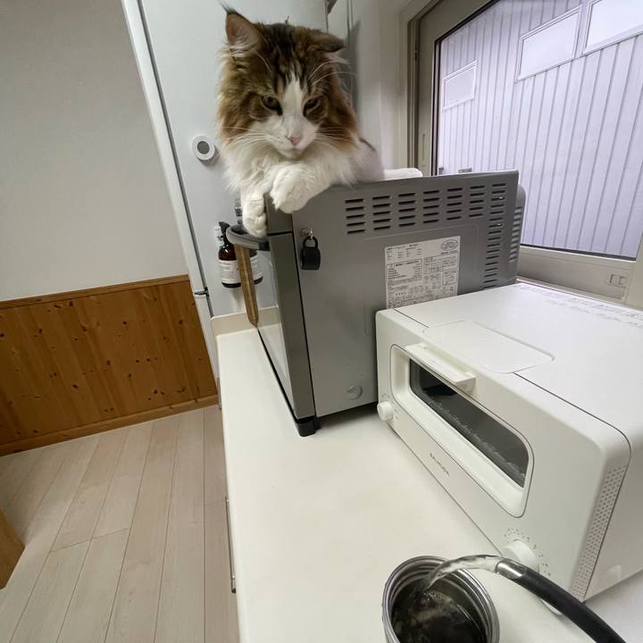 68131301 fb3d 4158 ba8a dd95f2359824 1665783845931