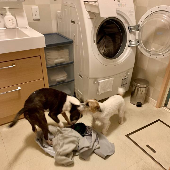 681354c5 a202 4232 9a85 7120dc0b2ed6 1601700916136