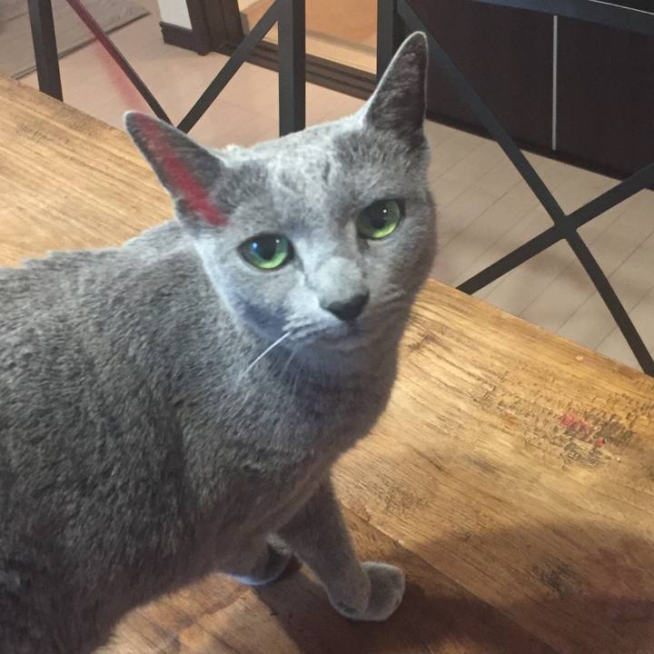 68138d29 970f 4f7a 8fa4 955235477a04 1553555002118