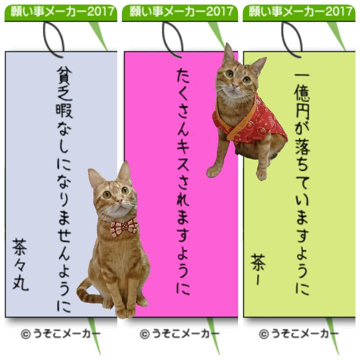 68139534 87bc 4172 9b2f d778a3c3a32d 1530443713487