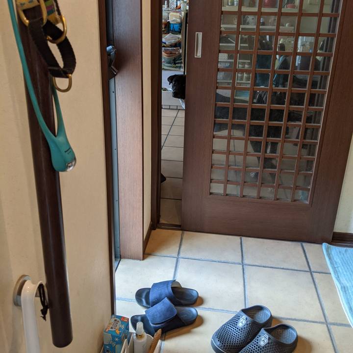 6813a7f0 b63f 4611 9aed 07d46b32607a 1632370005515