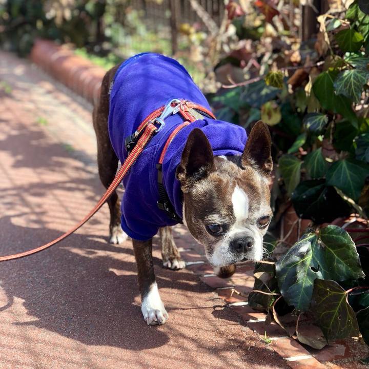 6814517a d61c 4f85 927a 005d0a0a96a0 1520075419849