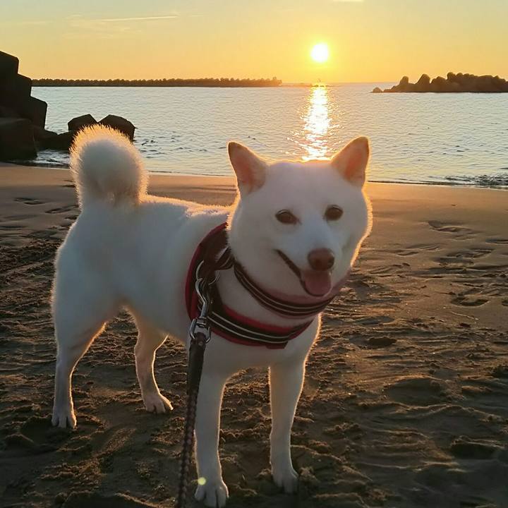 68149f55 115a 42fc 8b79 214f5f1a2a25 1531565709755