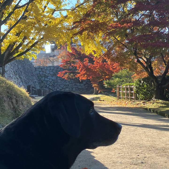 6814c445 dbfe 41ad ab57 d85702f9c126 1733018613687