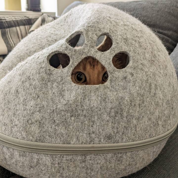 6814cb01 1e29 4cb6 b484 c5f9a463e428 1674104768190