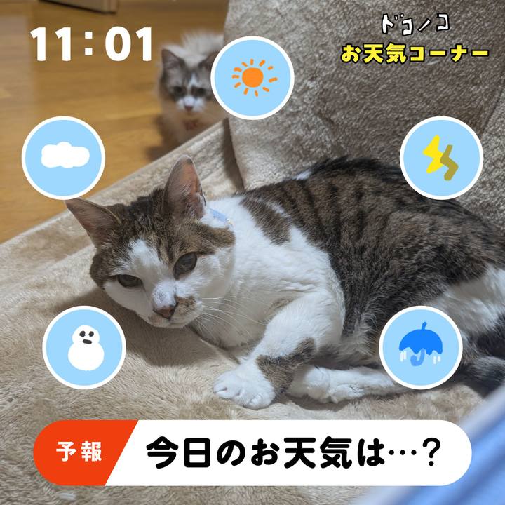 6814f69a 2bed 418f 9fa4 0c1d67ee1d1a 1781813795778