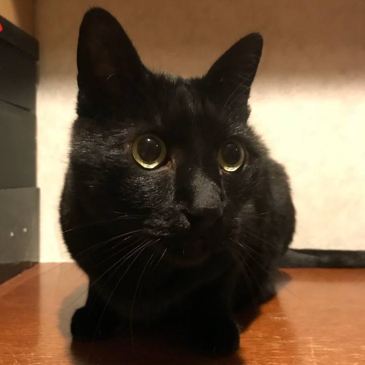 681521e5 47ad 4ab9 be04 4b6192735f6d 1521635734963