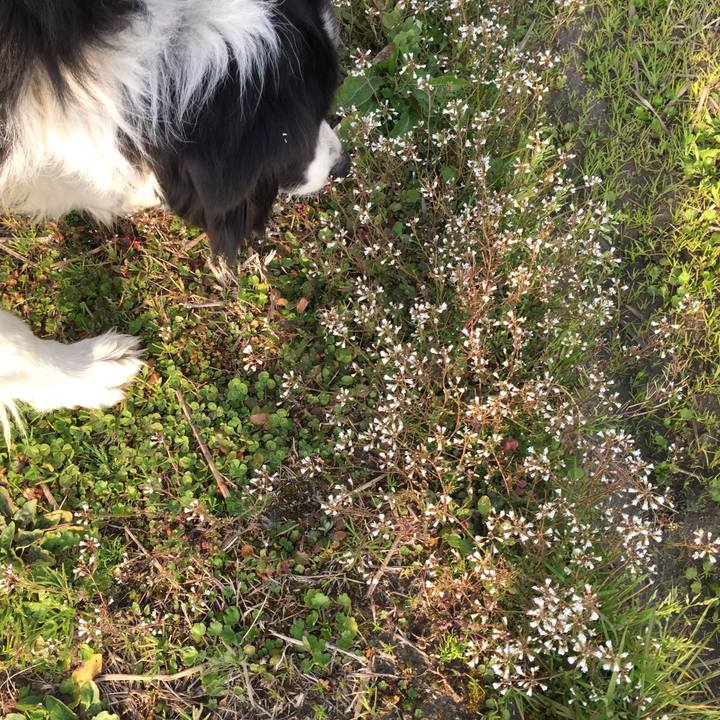 68153d52 f855 4765 86c9 3c60003a697d 1551141129067