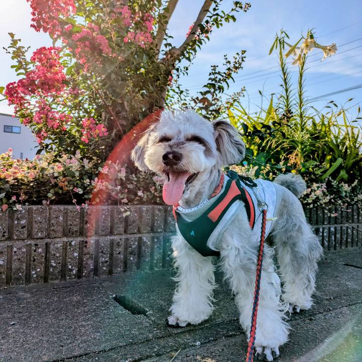 68156219 4893 4490 9ce9 adaba934d637 1755903956124